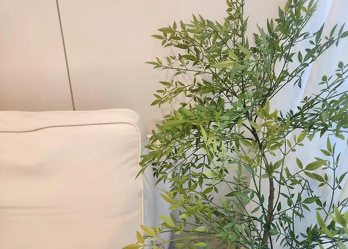 홍대입구역 5분, 홍대 중심가, 최대7인, 짐보관, 호텔식 침구,세탁건조기, 홍대 * 서울특별시